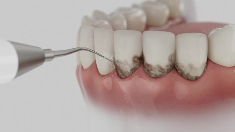 Reliable Dental contractor in Smithville, OH by Dentist Open Now